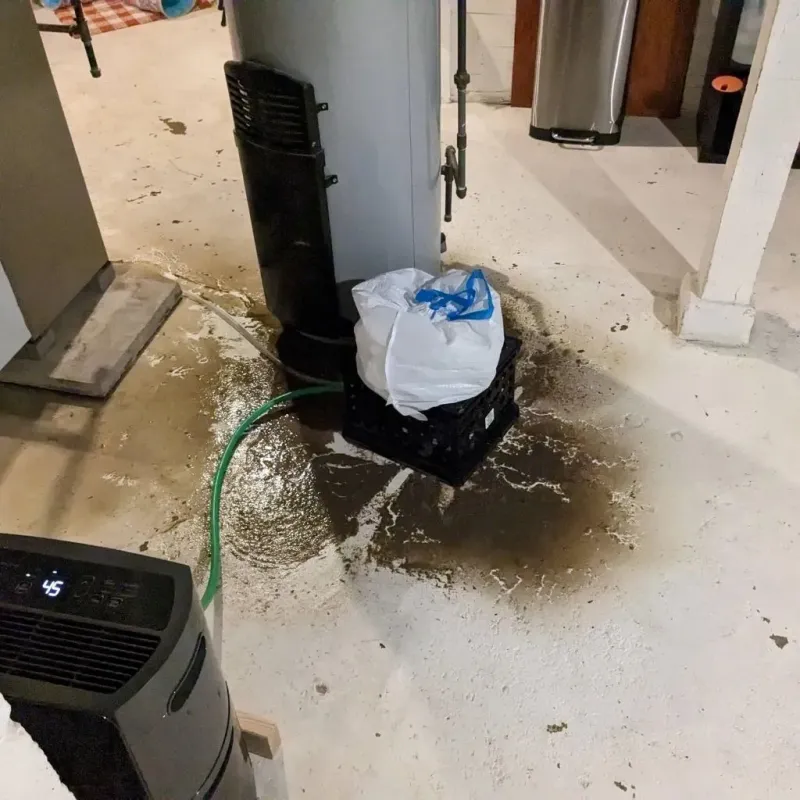 Sewage Backup Cleanup Service in Lucerne Valley, CA